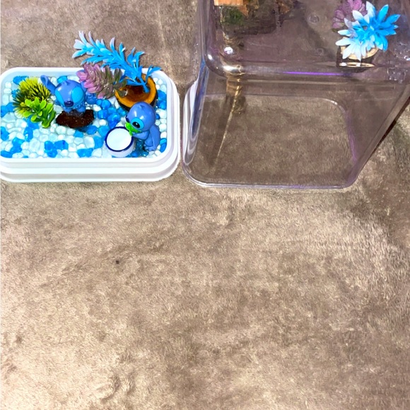 Custom jumping spiders enclosure - Picture 1 of 11